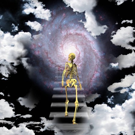 Foto de Vista del esqueleto de la muerte - Imagen libre de derechos