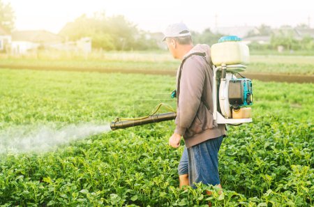 Photo for A farmer with a mist sprayer treats the potato plantation from pests and fungus infection. Use chemicals in agriculture. Agriculture and agribusiness. Harvest processing. Protection and care - Royalty Free Image