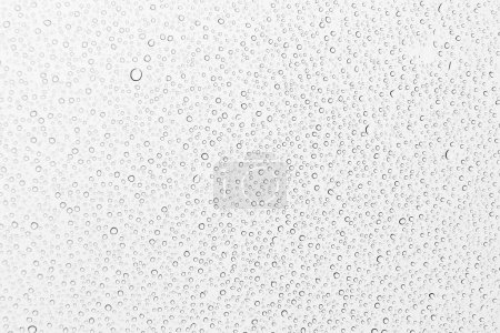 Foto de Gotas de lluvia sobre fondo de vidrio, primer plano - Imagen libre de derechos