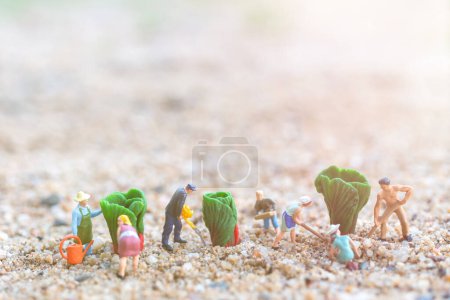 Téléchargez les photos : Personnes miniatures : Jardiniers Récolter un légume - en image libre de droit