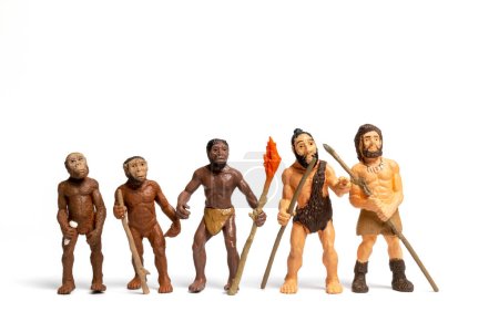 Photo for View of Human Evolution - Royalty Free Image