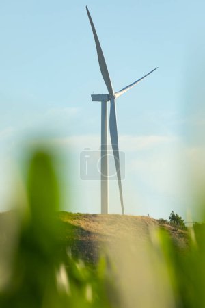 Foto de Nueva turbina eólica sobre los campos de maíz en Aragón, España - Imagen libre de derechos