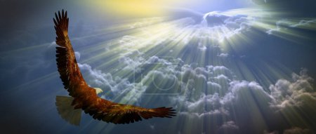 Foto de Águila en vuelo, ilustración conceptual abstracta - Imagen libre de derechos