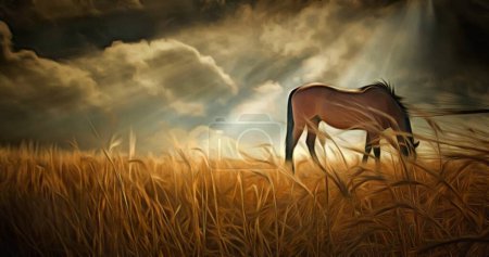 Foto de Un caballo en el campo - Imagen libre de derechos