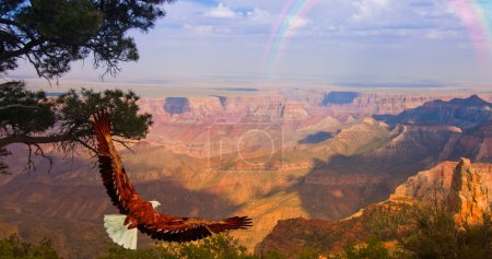 Photo for Composite image concept illustration of Eagle - Royalty Free Image