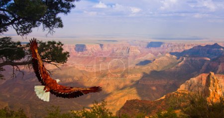 Photo for Composite image concept illustration of Eagle - Royalty Free Image