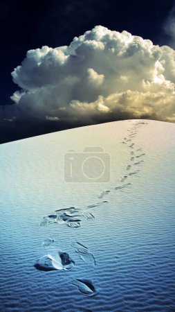 Photo for Footprints in desert, conceptual abstract illustration - Royalty Free Image