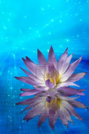 Photo for Waterlily petals. lotus flower in water - Royalty Free Image