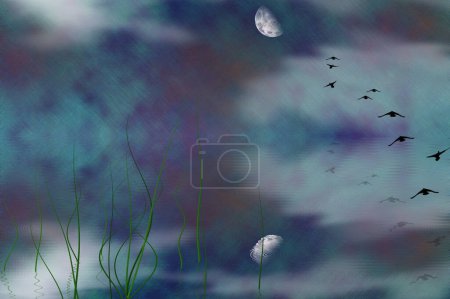 Téléchargez les photos : Nuit sombre avec des oiseaux sur le ciel, illustration colorée - en image libre de droit