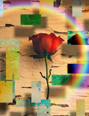 Photo for Passion Rose, colorful picture - Royalty Free Image