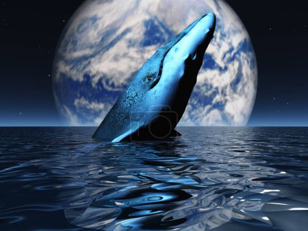Téléchargez les photos : Baleine dans l'océan et la lune - en image libre de droit