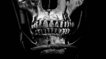 Photo for Skull of a human size robot - Royalty Free Image