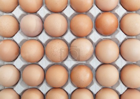 Foto de Fotograma completo de huevos marrones dispuestos en cartón - Imagen libre de derechos