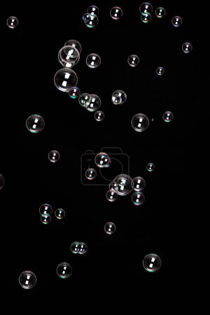 Photo for Soap bubbles isolated on black background - Royalty Free Image