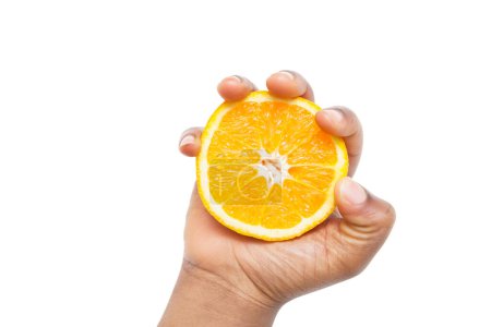 Photo for "Cropped shot of a hand holding sliced pulpy orange against white background" - Royalty Free Image