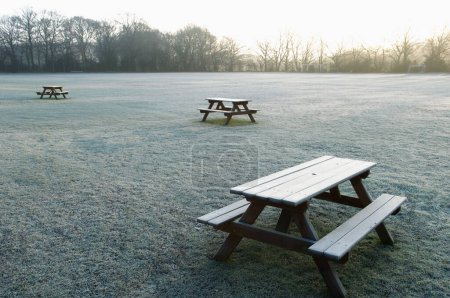 Photo for Benches on empty field - Royalty Free Image