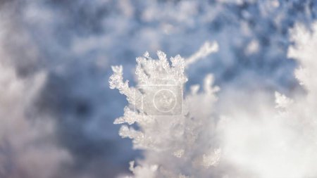 Téléchargez les photos : Formation de glace vue rapprochée - en image libre de droit