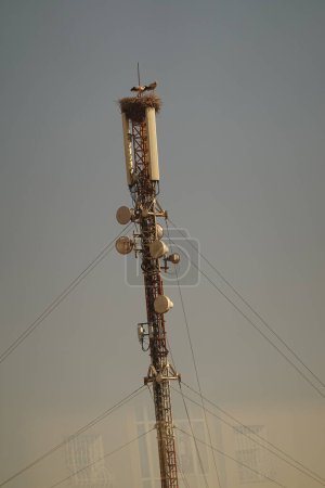 Téléchargez les photos : Antenne cellulaire tour dans la ville moderne - en image libre de droit