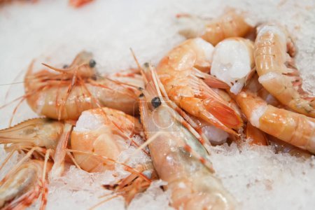 Téléchargez les photos : Gros plan sur les crevettes dans la glace - en image libre de droit