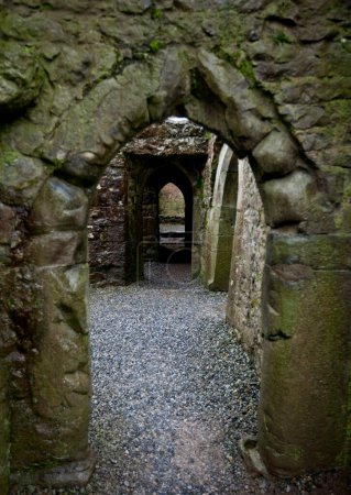 Téléchargez les photos : Vue à travers la porte de l'abbaye de Quin, Irlande - en image libre de droit