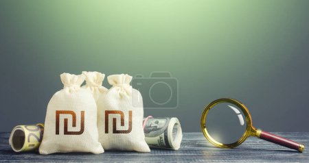 Photo for Israeli shekel money bags and magnifying glass. Budget revision. Monitoring of suspicious transactions, cash flows and the legality of the origin of capital. Finding financial resources, fund projects - Royalty Free Image