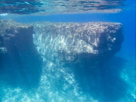 Téléchargez les photos : Beau fond du monde sous-marin - en image libre de droit