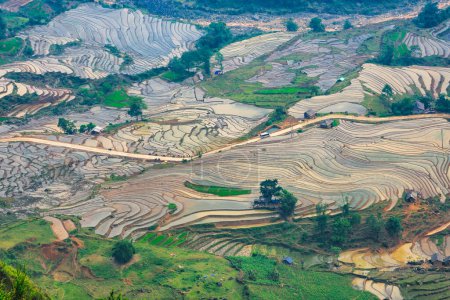 Foto de Hermoso campo de arroz en terrazas en la temporada de extracción de agua en Y Ty, Bat Xat, provincia de Lao cai en Vietnam - Imagen libre de derechos