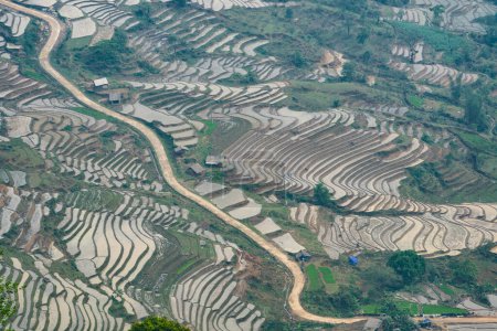 Téléchargez les photos : Magnifique rizière en terrasses en saison de prélèvement d'eau à Y Ty, Bat Xat, province de Lao Cai au Vietnam - en image libre de droit