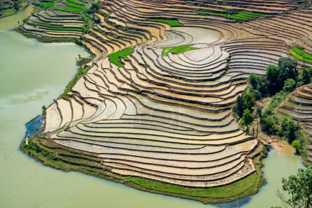 Foto de Belleza de terrazas de arroz en Muong Hum, Lao Cai, Vietnam - Imagen libre de derechos