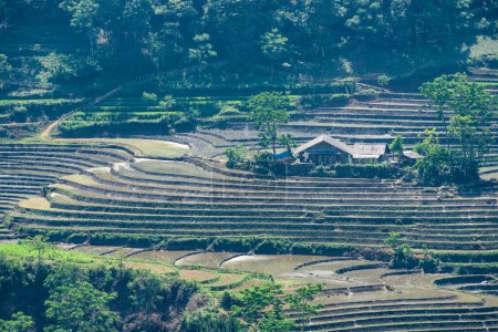 Téléchargez les photos : Beauté des terrasses de riz à Muong Hum, Lao Cai, Vietnam - en image libre de droit