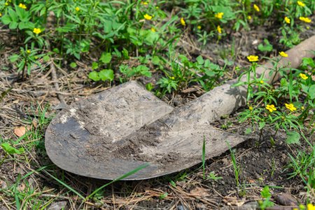 Photo for Dirty working shovel lies on the ground in the grass in the garden - Royalty Free Image