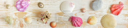 Photo for Group of colorful shells on wooden surface - Royalty Free Image