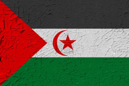 Téléchargez les photos : Sahrawi Arab Democratic Republic painted flag - en image libre de droit