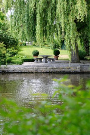 Téléchargez les photos : Un étang avec des arbres verts dans le parc - en image libre de droit
