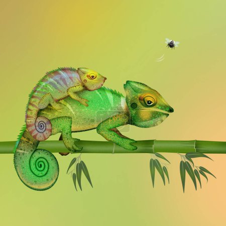 Téléchargez les photos : Photo avec deux caméléons camouflés - en image libre de droit