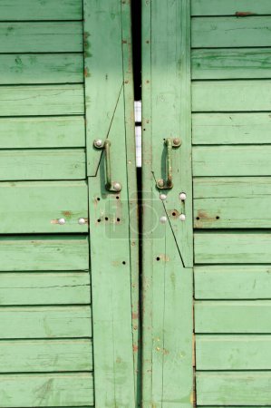 Photo for Green door, close up - Royalty Free Image