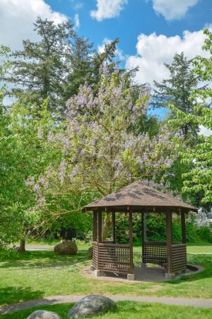 Foto de Cómoda y acogedora glorieta bajo los árboles en flor en el soleado día de verano - Imagen libre de derechos