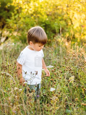 Téléchargez les photos : Mignon petit garçon est renifler fleurs sur champ - en image libre de droit