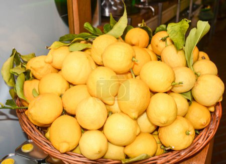 Téléchargez les photos : Citrons italiens originaux, gros plan - en image libre de droit