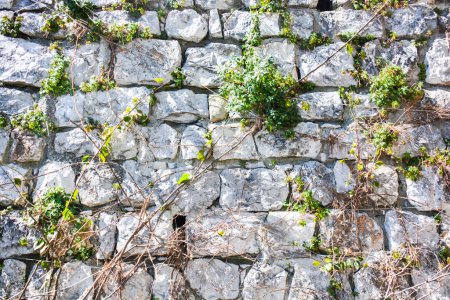 Téléchargez les photos : Vieille texture grunge de mur en pierre grise - en image libre de droit