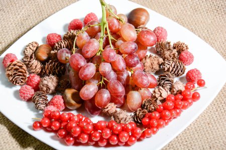 Photo for Close up view of winter italian fruits - Royalty Free Image