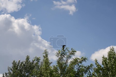 Photo for A sign on a cloudy day - Royalty Free Image