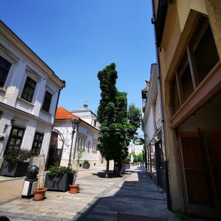 Foto de Calle peatonal de Miskolc con vistas a tiendas y casas - Imagen libre de derechos