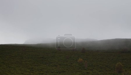 Téléchargez les photos : Beau paysage avec un brouillard dans les montagnes - en image libre de droit