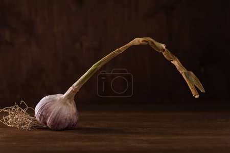 Photo for Close-up view of fresh organic Garlic bulbs - Royalty Free Image