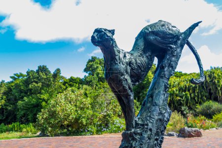 Téléchargez les photos : Sculpture Puma dans le jardin botanique de Kirstenbosch, Le Cap - en image libre de droit