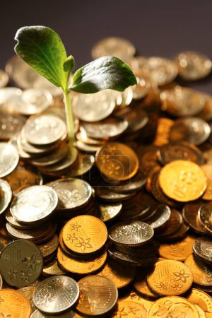 Foto de Concepto de crecimiento del dinero con plantas y monedas - Imagen libre de derechos