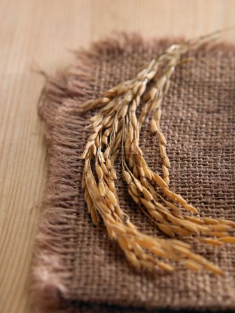 Foto de Orejas de trigo y arpillera sobre fondo de madera - Imagen libre de derechos