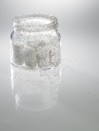Téléchargez les photos : Sucre avec fourmis sur table blanche - en image libre de droit