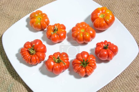 Foto de Vista de cerca de tomates ecológicos frescos maduros - Imagen libre de derechos